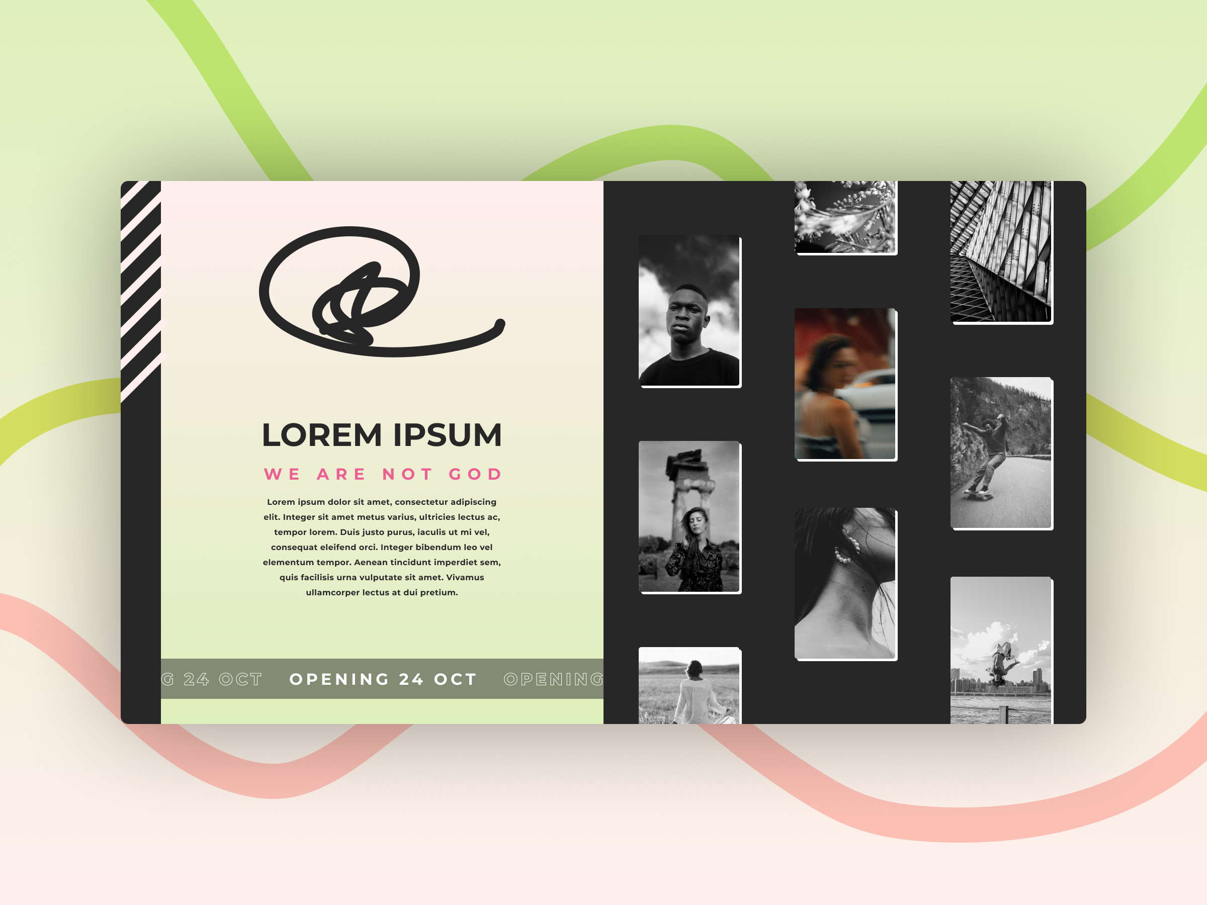 Photographer Portfolio